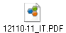 12110-11_IT.PDF