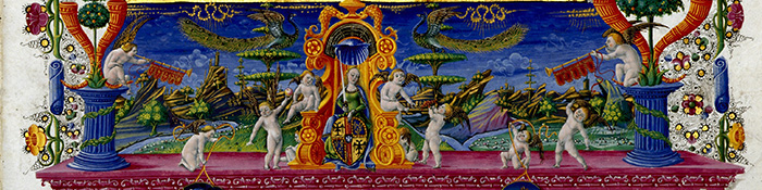 Particolare del codice miniato