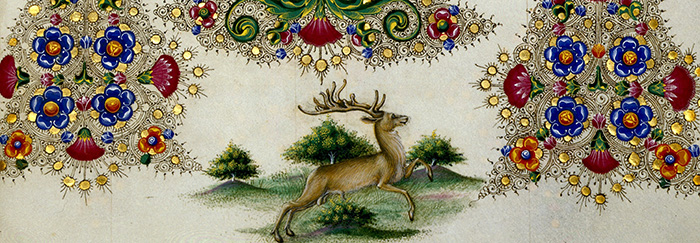 Particolare del codice miniato