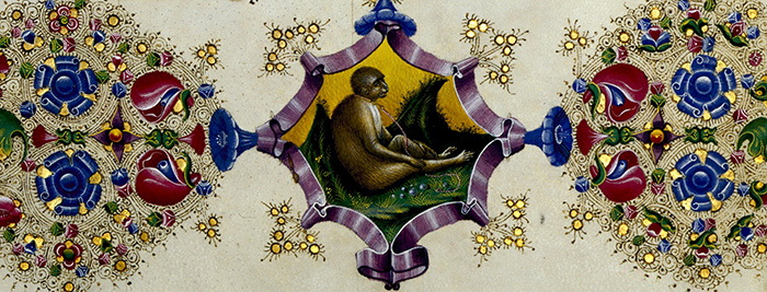 Particolare del codice miniato