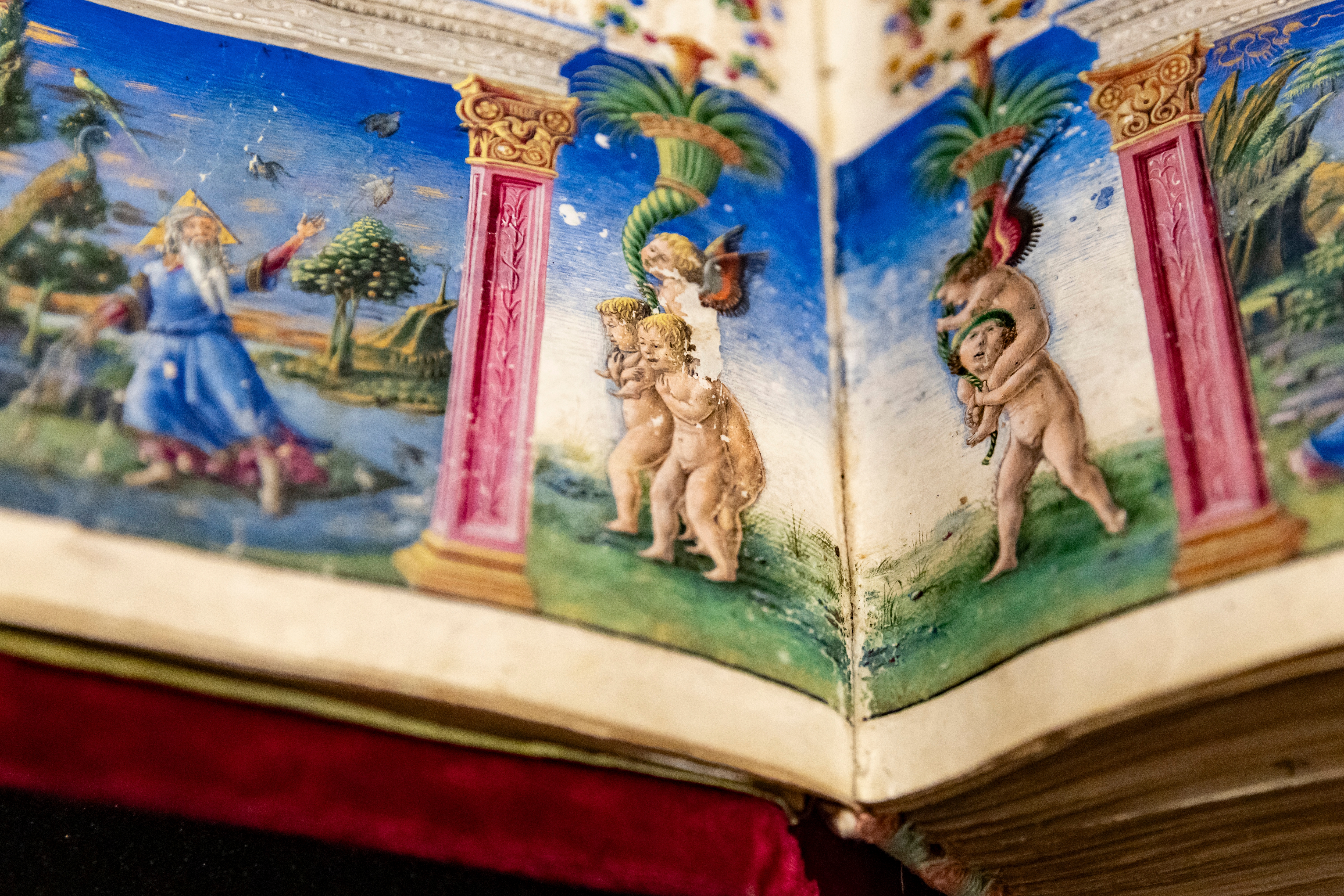Dettaglio miniato della Bibbia di Borso d’Este esposta nella Biblioteca del Senato