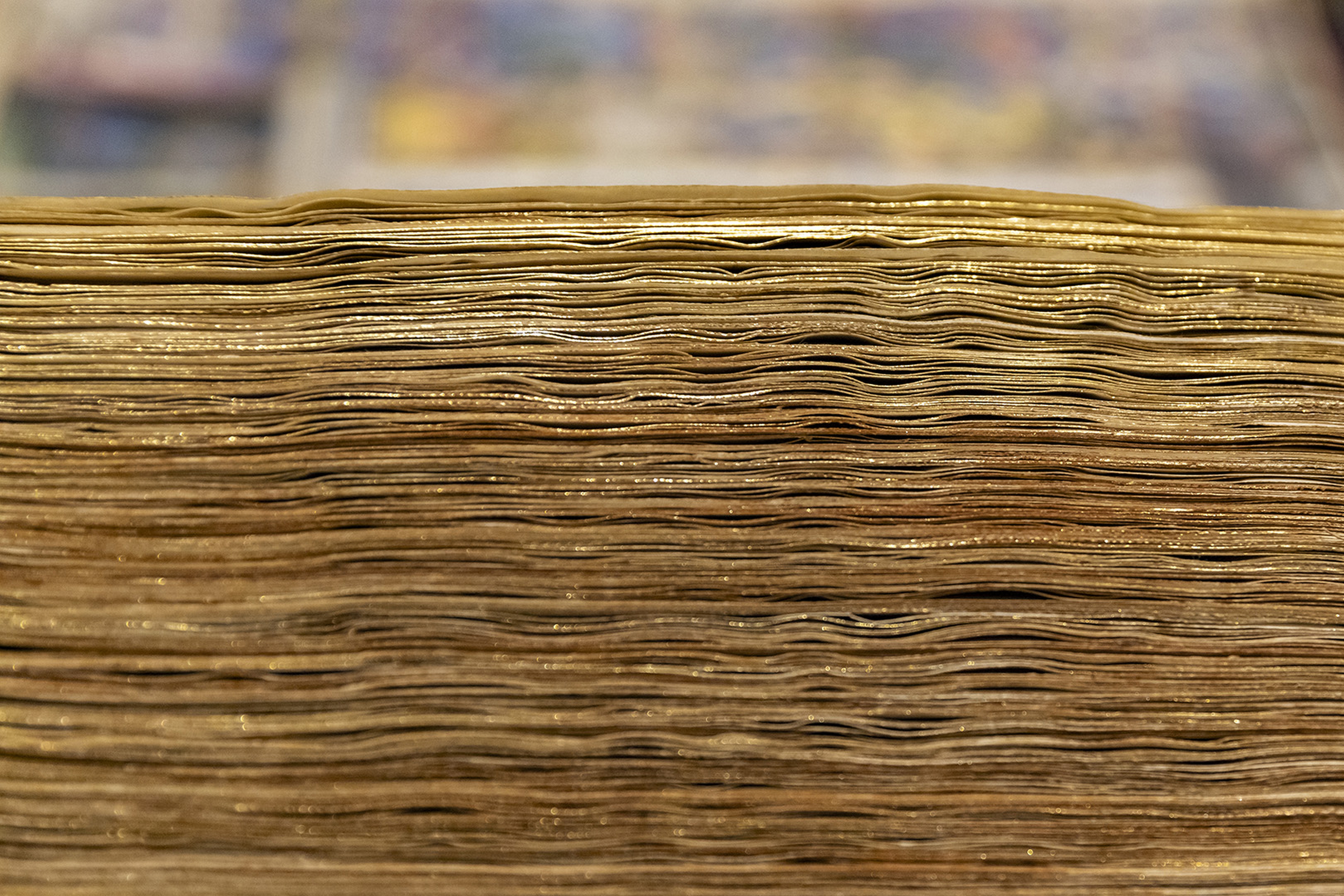 Dettaglio delle pagine