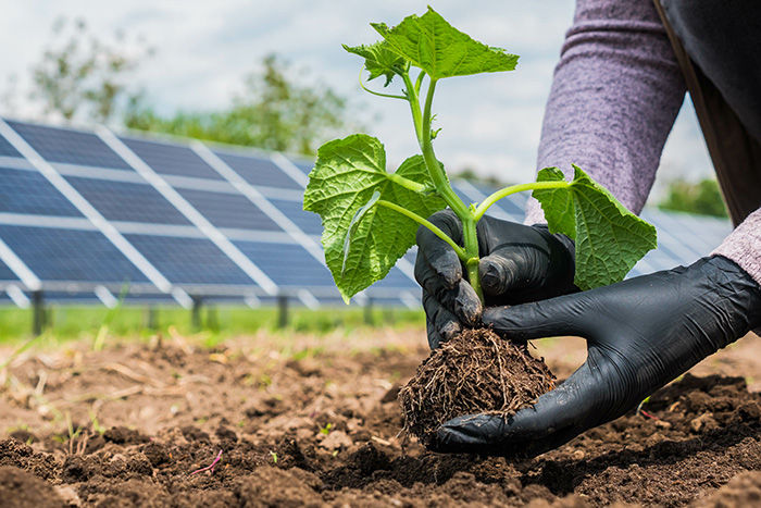 Commissione Esteri e Difesa