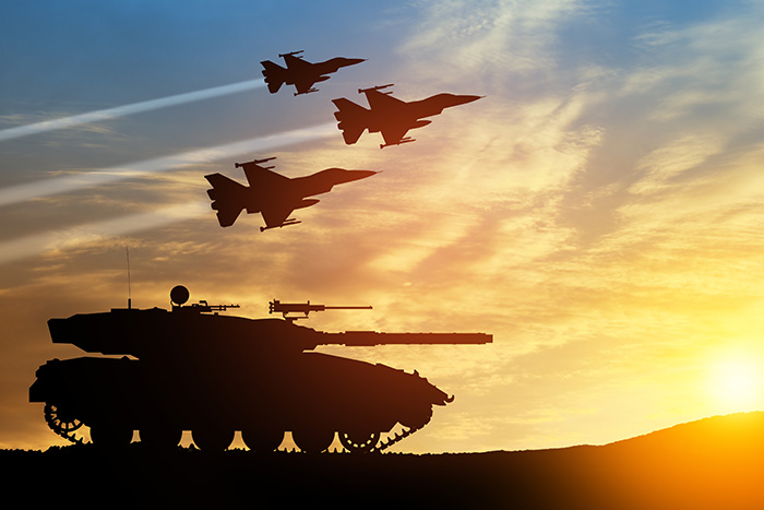 Commissione Esteri e Difesa