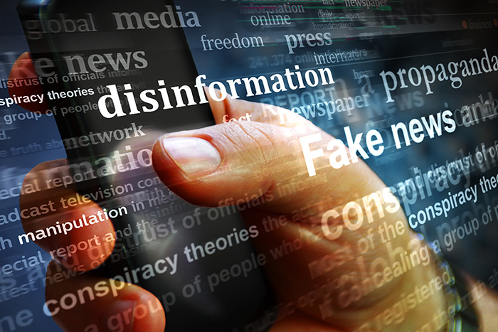 Commissione Esteri e Difesa