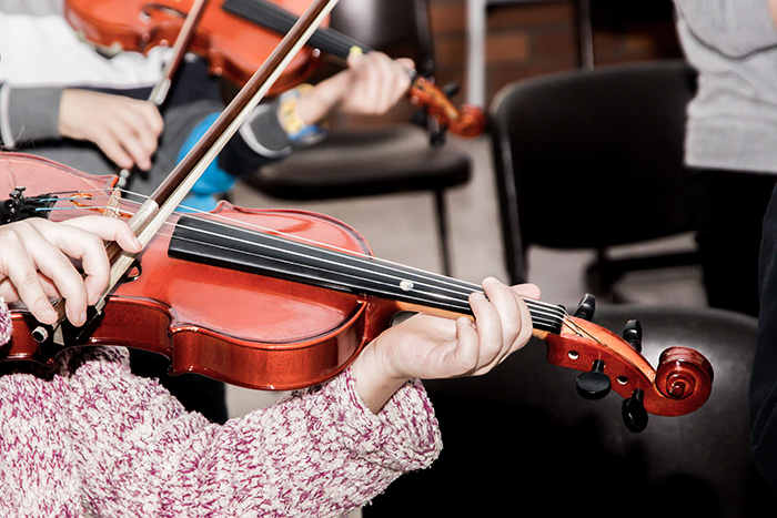 Commissione Cultura, istruzione, sport