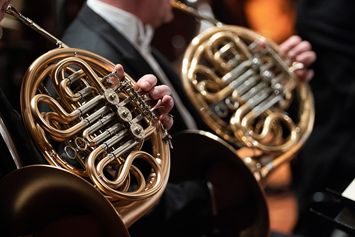 Commissione Cultura, istruzione, sport