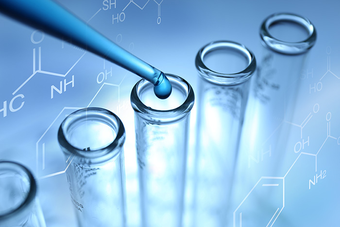 Commissione Cultura, istruzione, sport