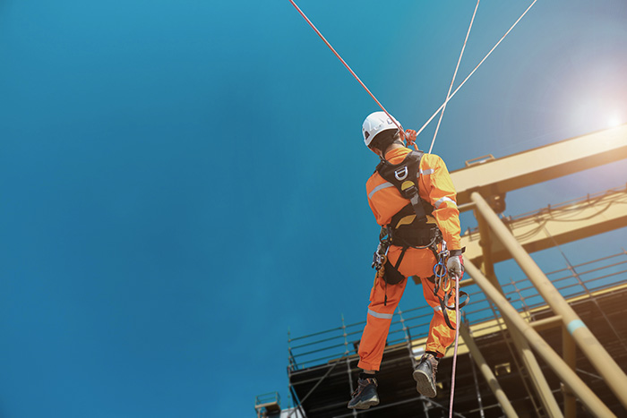 Commissione Affari sociali, lavoro, sanità