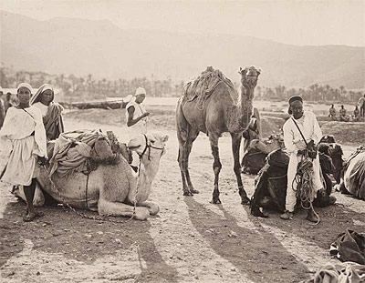 Riposo di una carovana, 1910 ca.
