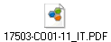 17503-CO01-11_IT.PDF