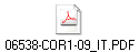 06538-COR1-09_IT.PDF